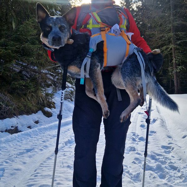 BackTrak™ Dog Sling Carrier Evacuation Kit Ruffwear