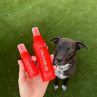 A hand holding two red spray bottles labeled "TOWER 28" with a black and white dog sitting on green grass in the background