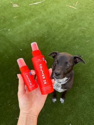 A hand holding two red spray bottles labeled "TOWER 28" with a black and white dog sitting on green grass in the background