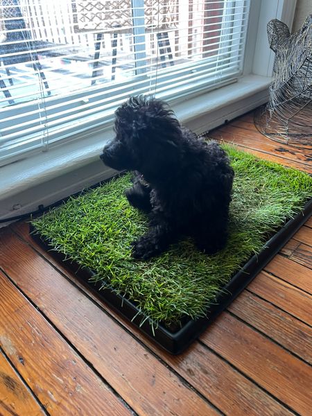 Artificial Grass Diy Dog Grass Potty Box Porch Potty Outdoor Dog