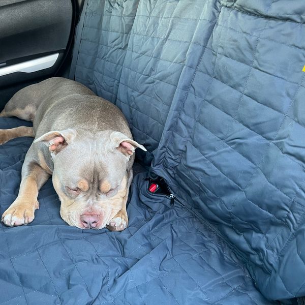 Drive Dog Car Hammock Waterproof Full Seat Protector UK