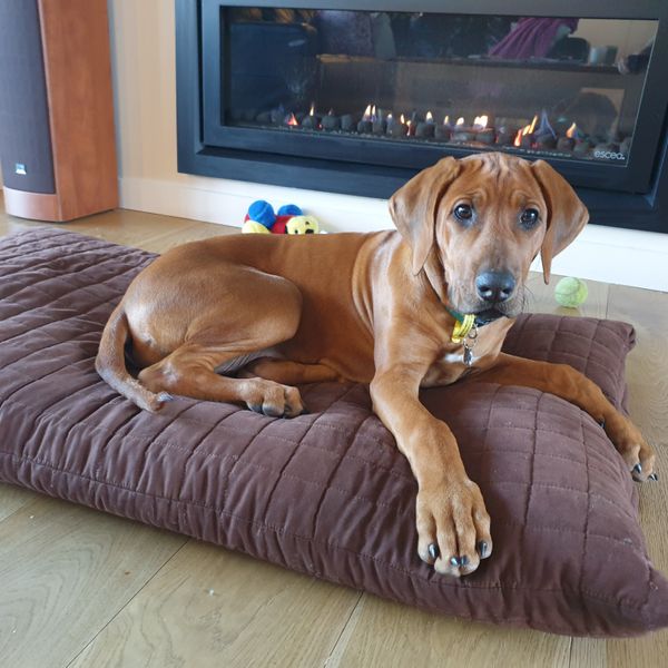 Canvas Pet Carhartt Sherpa Top Dog Bed Carhartt Durable Dog Bed