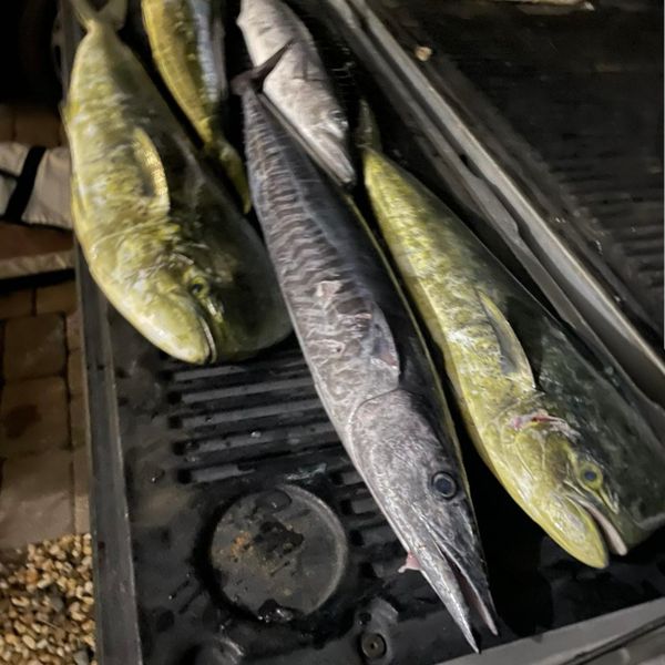 Madmacs Leurre de Pêche à la Traîne Coulant à Grande Vitesse 200mm 8 Pouces pour Thon Rouge Chardonneret Wahoo et Mahi Mahi, Truite Corail Nucléaire