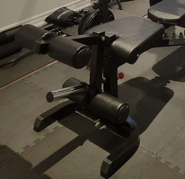 Leg Curl Northern Lights Flat Bench Set Mikolo In Olympic With Leg