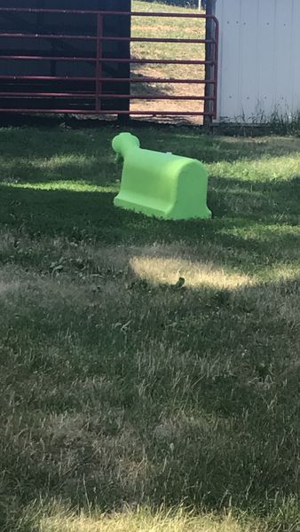 Bulldog Chill Dog Breeds Chill Dog Lazy Calm Dog Breeds Chill Dog