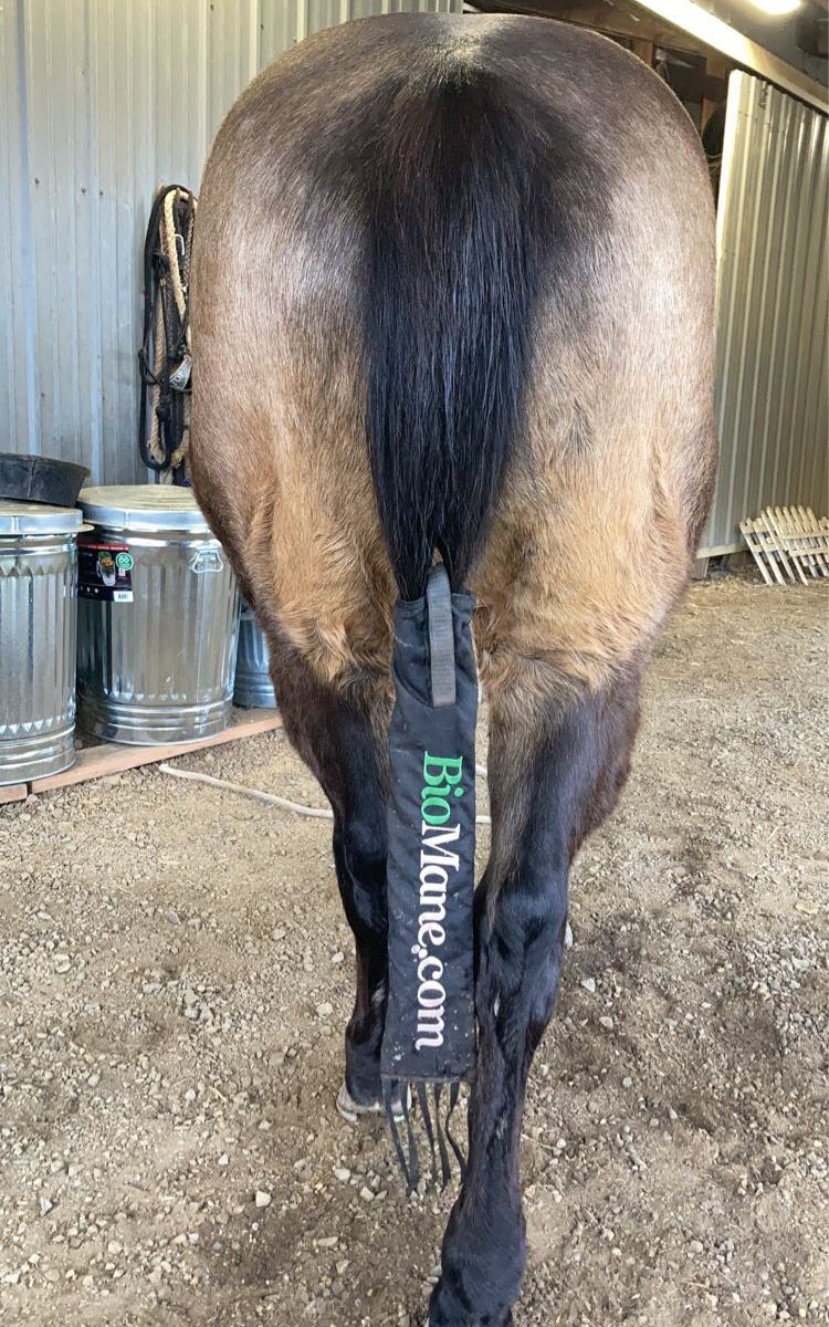 Biomane Products Llc Tailbag