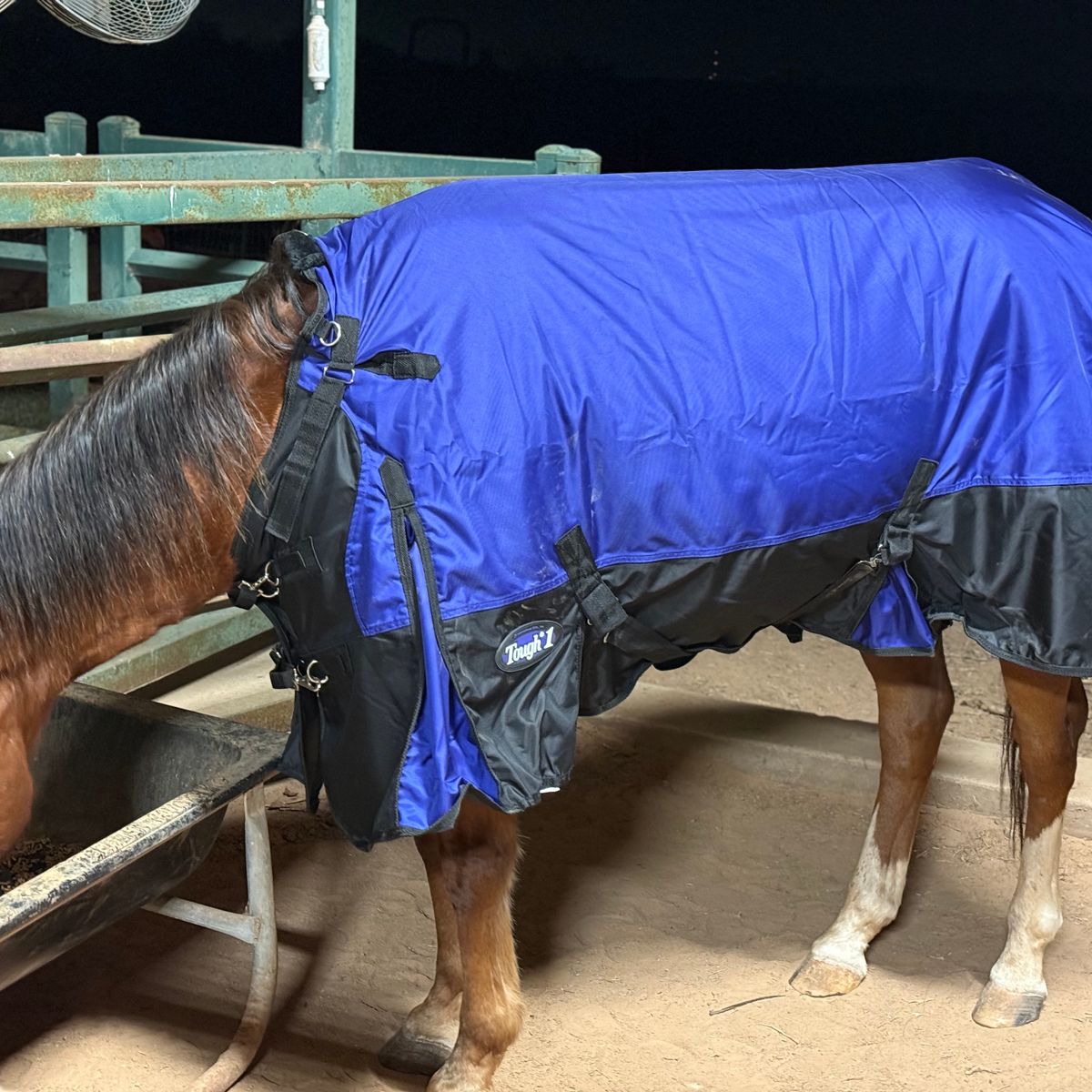 1200D Waterproof Horse Turnout Blanket With Snuggit 81
