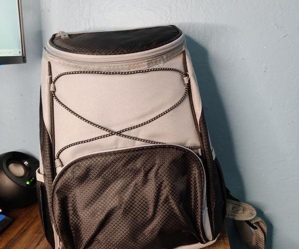 Las Vegas Raiders Laptop Backpack – 11.5x5.5x17.5 – Unisex Adult