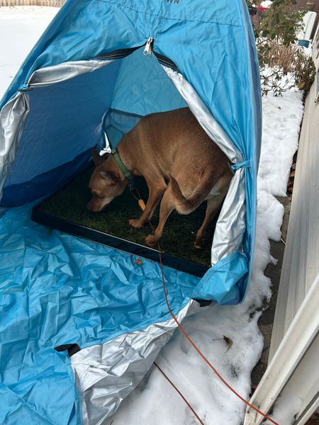 Outdoor Rain/Snow Potty Shelter for Dogs DoggieLawn