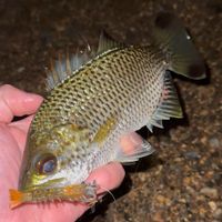 Customer-uploaded image, show more details