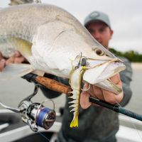 Customer-uploaded image, show more details