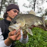 Customer-uploaded image, show more details