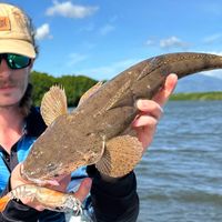 Customer-uploaded image, show more details