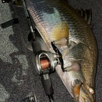 Customer-uploaded image, show more details