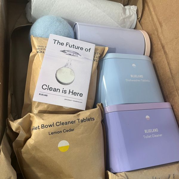 Eco-Friendly Dishwasher Detergent Tablet Refills Blueland