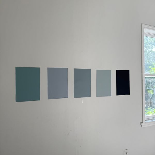 Sea Salt Sherwin-Williams Paint Color Sample (6204) Samplize