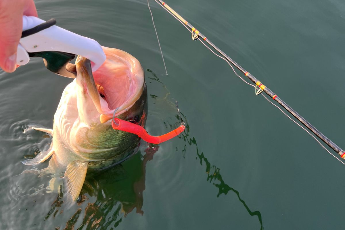 Playbook Bundle: Striper Trolling System (10pc)